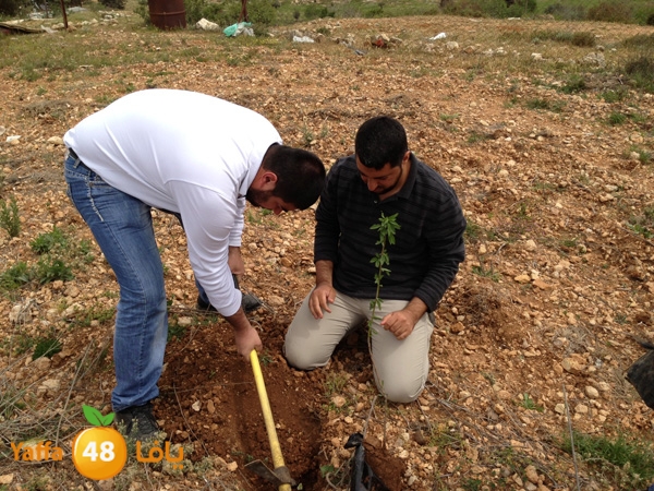 ludandyaffazaitoon (47).JPG